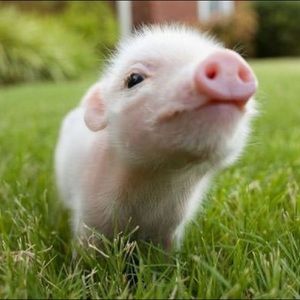 Welcome to my closet!